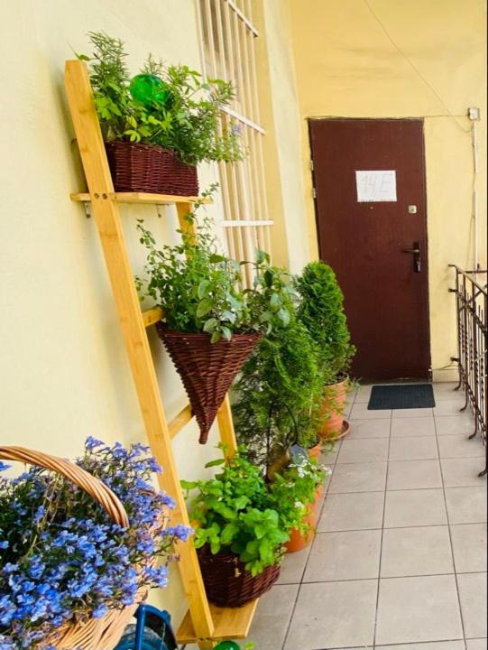 Miodowa Kazimierz Apartment Krakkó Kültér fotó